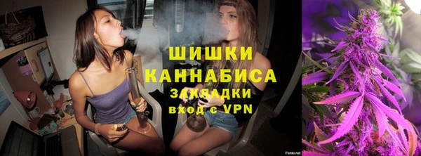 амф Протвино